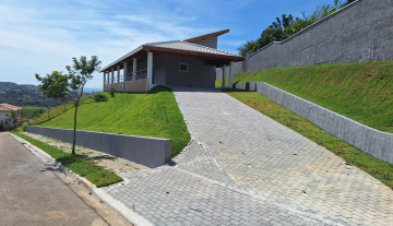 C3704 20.jpg